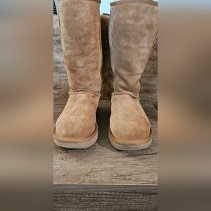 Ugg Boot Winter